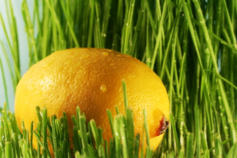 Lemon
